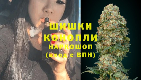 спайс Алзамай