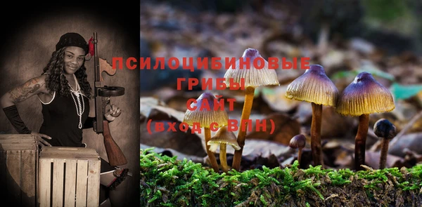 спайс Алзамай